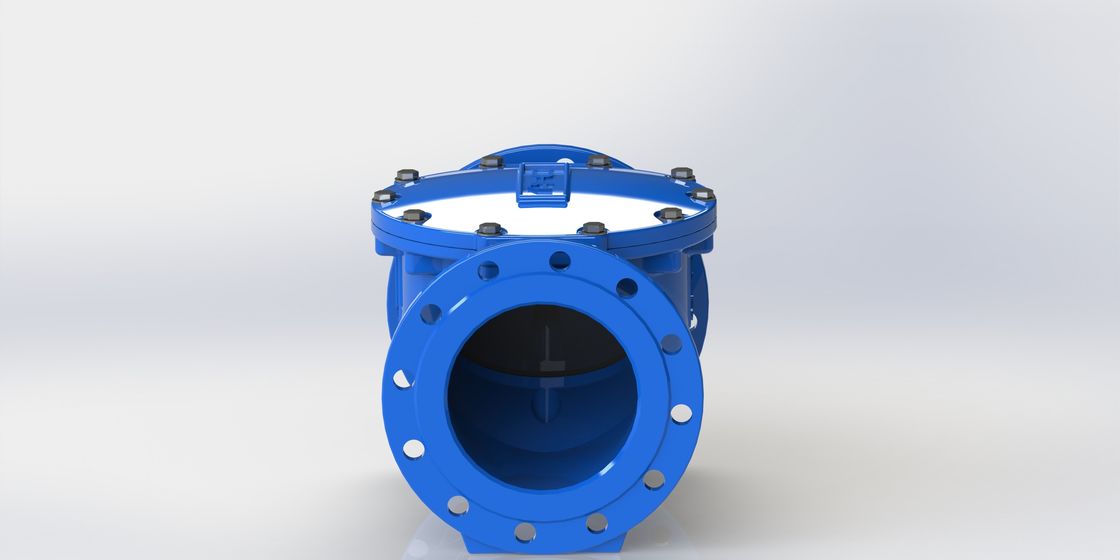 EPDM Swing Flex Check Valve de sellado con rango de tamaño DN50-700 y conexión de brida PN10/PN16